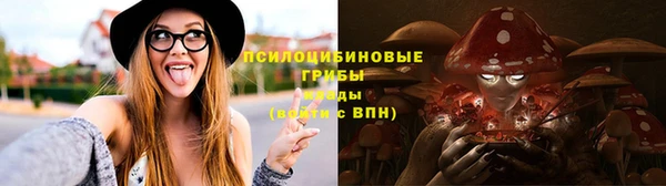 хмурый Лагань